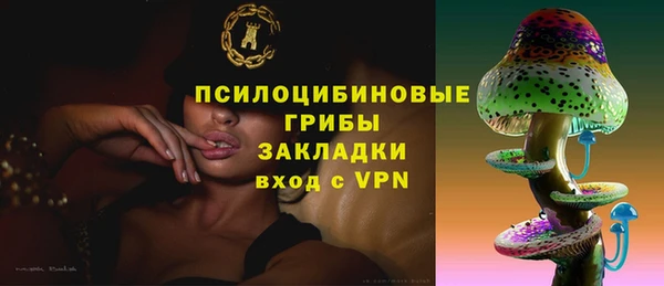ALPHA PVP Каменск-Шахтинский