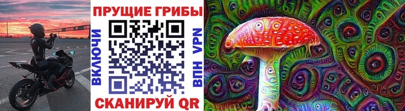 Галлюциногенные грибы Magic Shrooms  Купить закладки  Никольское 